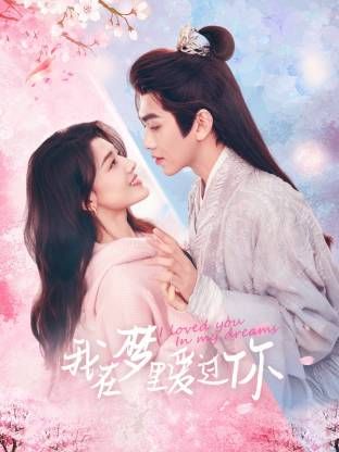 我在梦里爱过你